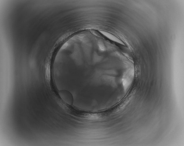 X0000100920349200807221121