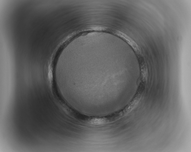 X0000100920350200807221121