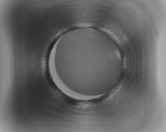 X0000100920351200807221121