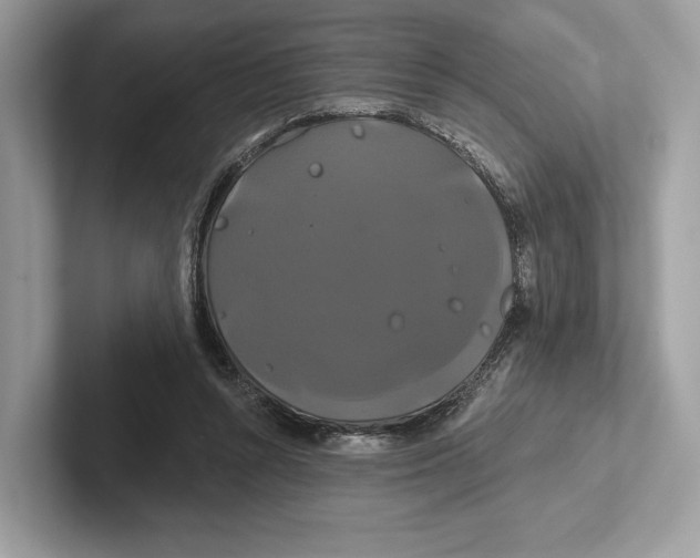 X0000100920352200807221121