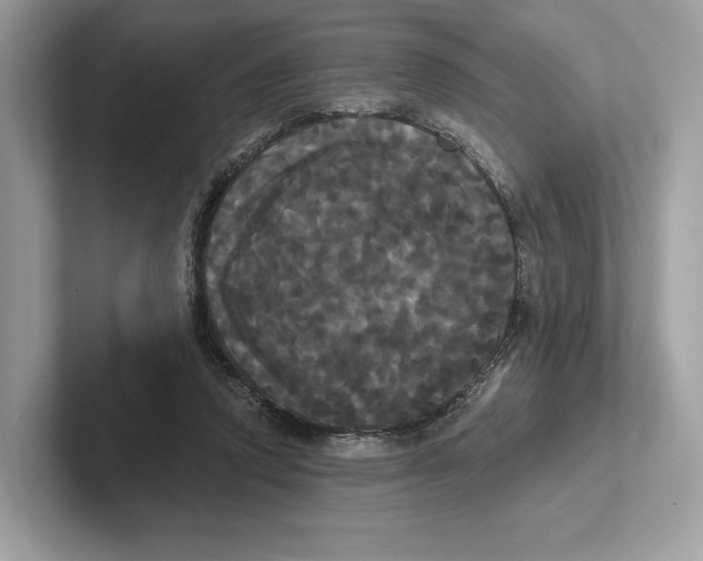 X0000100920354200807221121