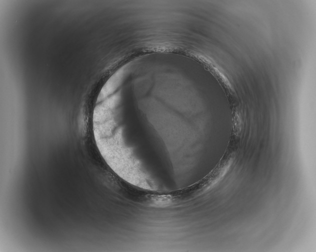 X0000100920355200807221121