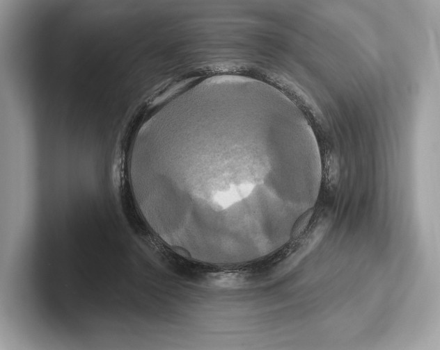 X0000100920356200807221121