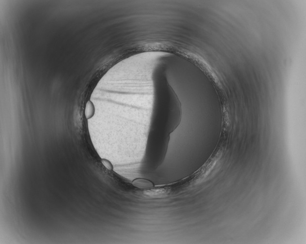 X0000100920357200807221121