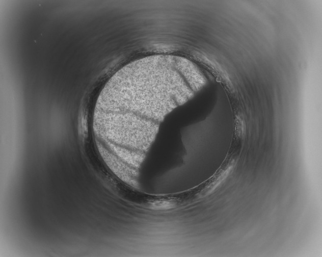 X0000100920358200807221121