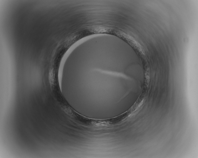 X0000100920359200807221121