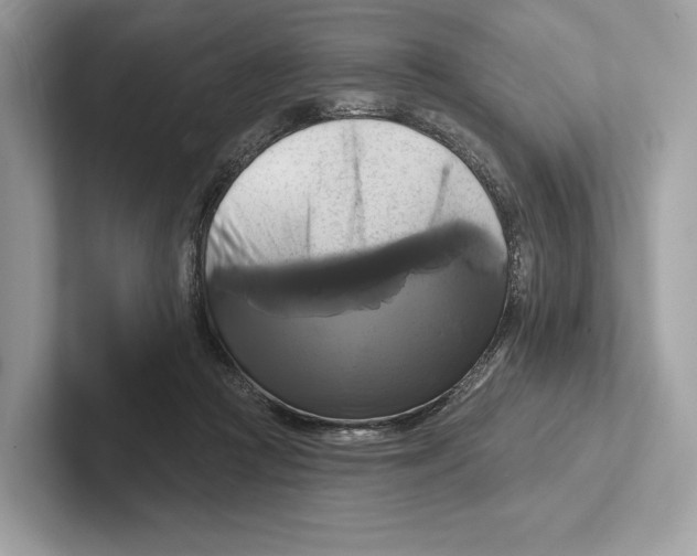 X0000100920361200807221121