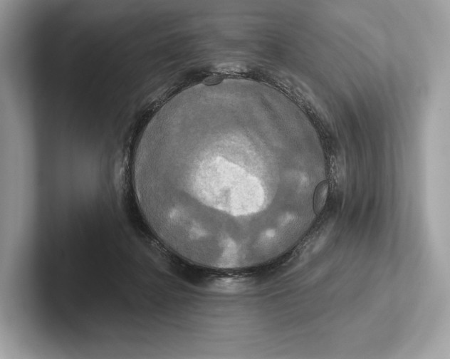 X0000100920364200807221121