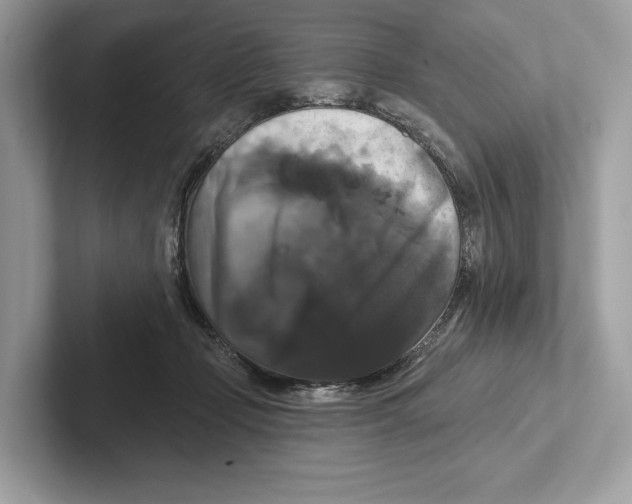 X0000100920365200807221121
