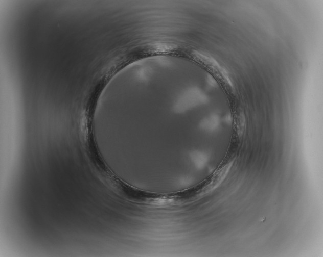 X0000100920366200807221121