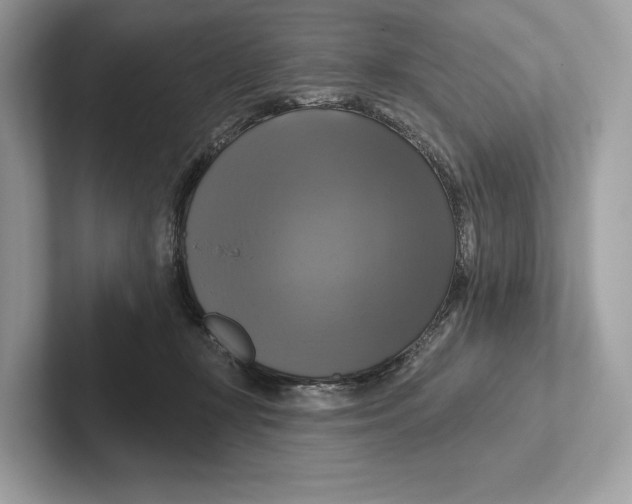X0000100920367200807221121