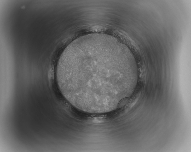 X0000100920368200807221121