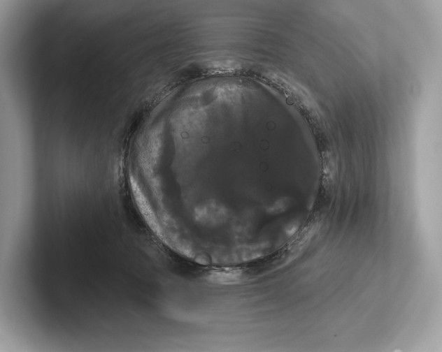 X0000100920369200807221121