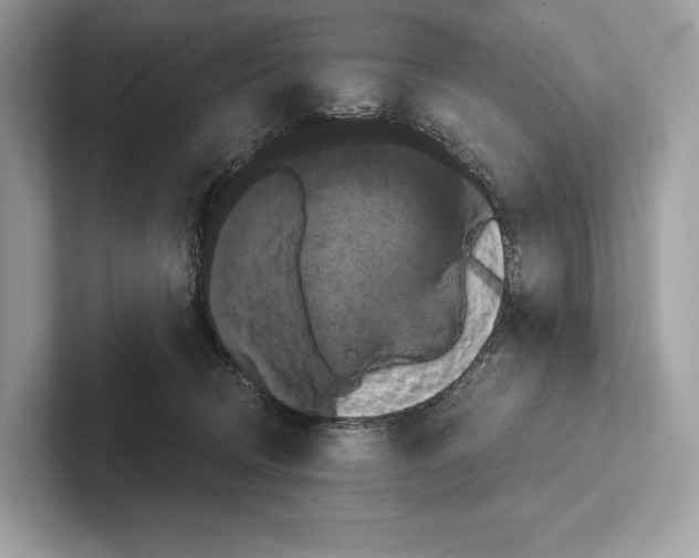 X0000100920370200807221121