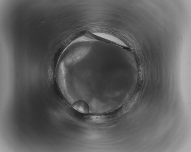 X0000100920371200807221121