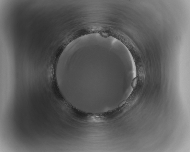 X0000100920372200807221121