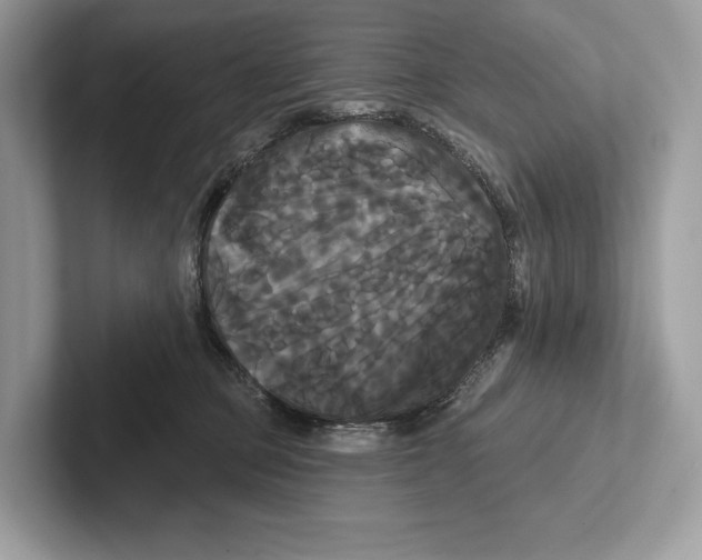 X0000100920373200807221121