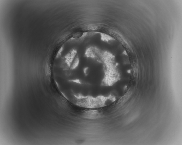 X0000100920374200807221121