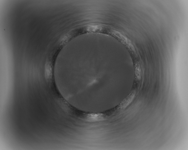 X0000100920375200807221121