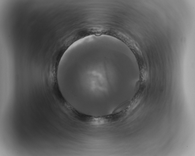 X0000100920376200807221121