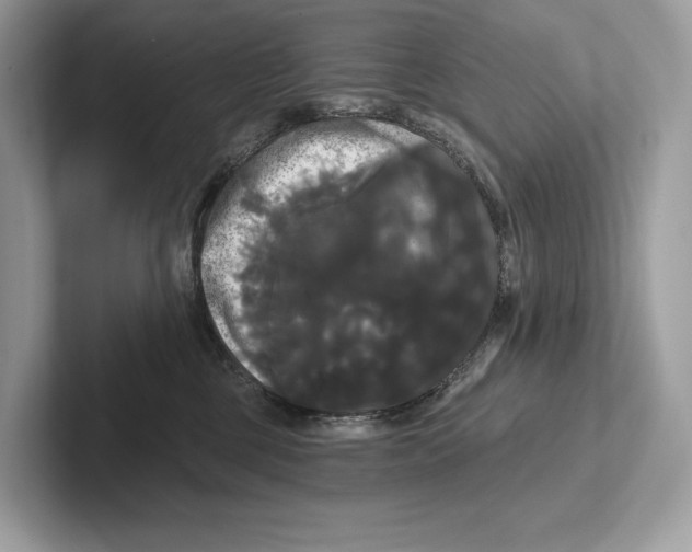 X0000100920377200807221121