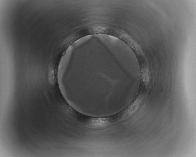 X0000100920378200807221121