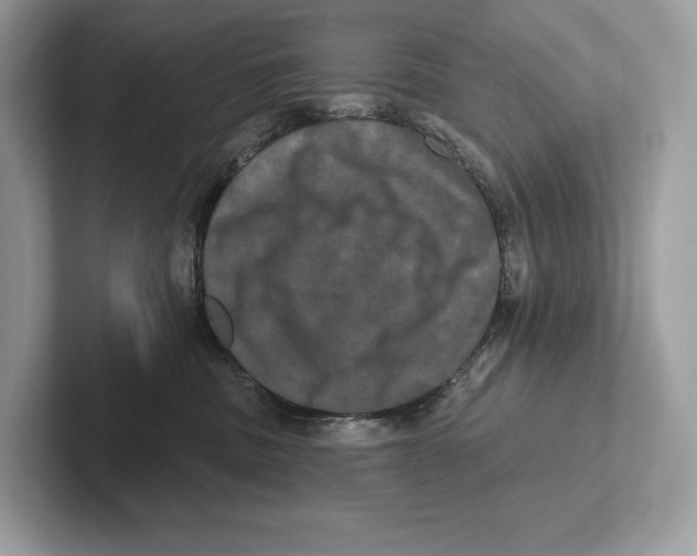X0000100920379200807221121