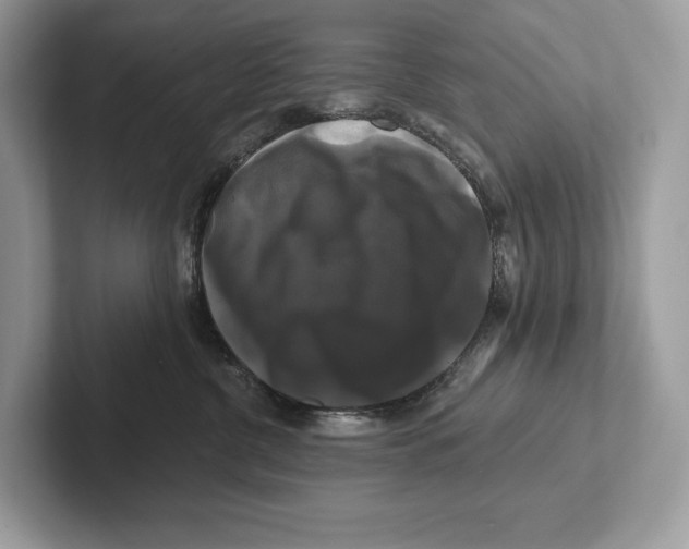 X0000100920380200807221121
