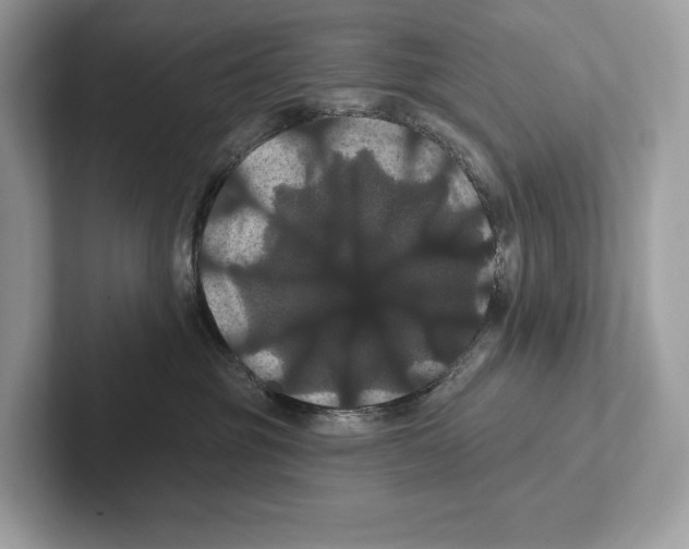 X0000100920381200807221121