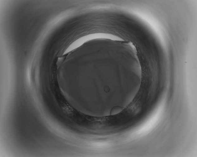 X0000100920382200807221121