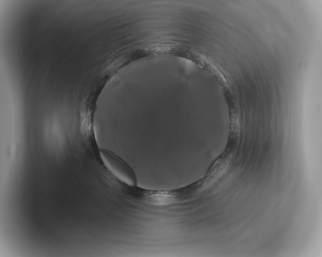X0000100920383200807221121