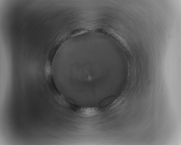 X0000100920384200807221121