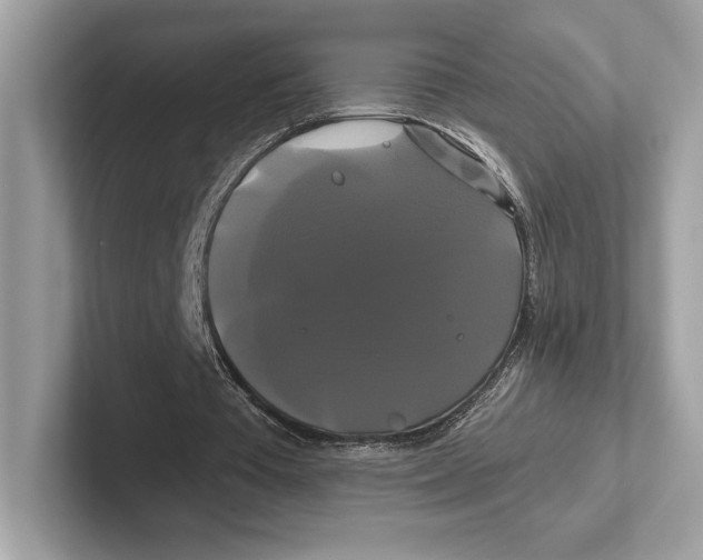 X0000100920385200807221120