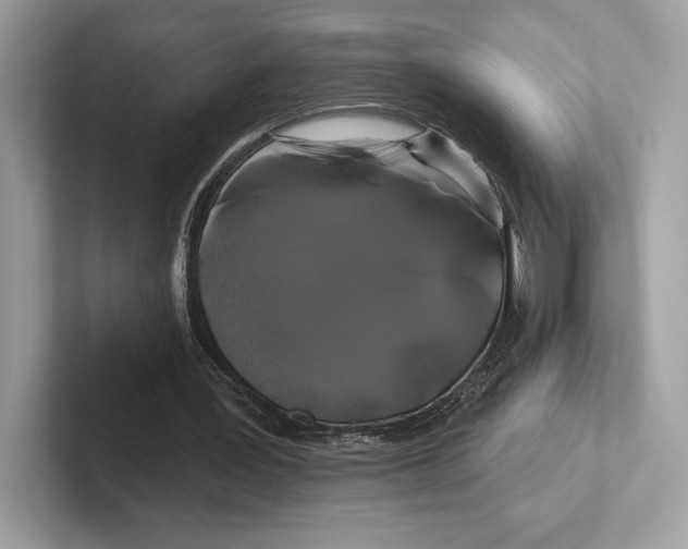 X0000100920387200807221120
