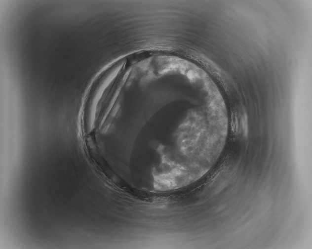 X0000100920388200807221120