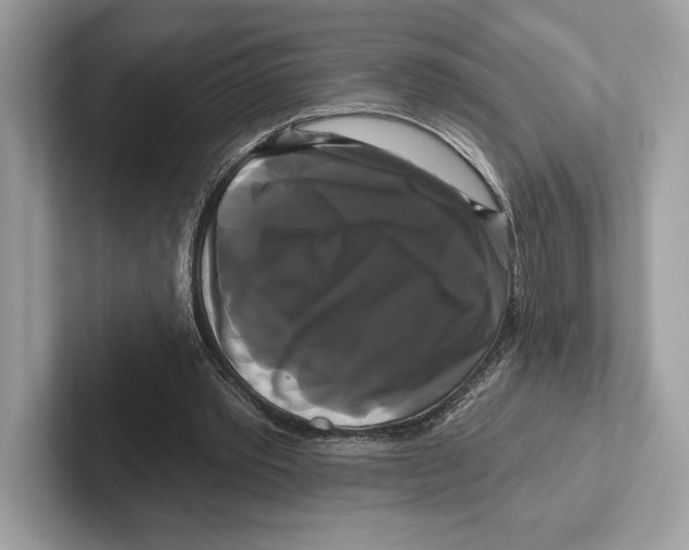 X0000100920389200807221120