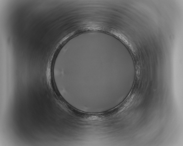 X0000100920390200807221120