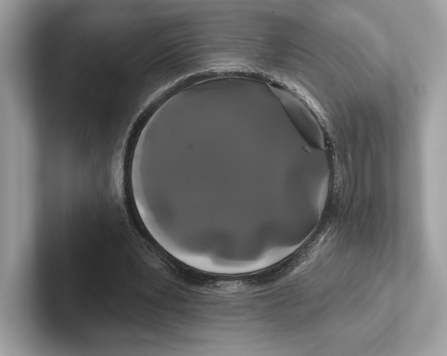 X0000100920391200807221120