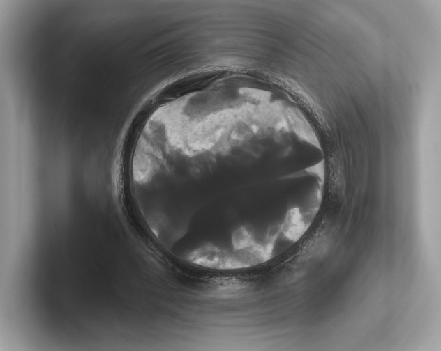 X0000100920392200807221120