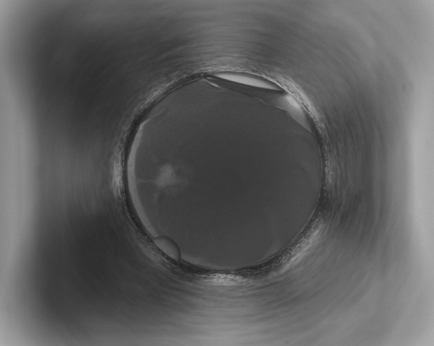 X0000100920393200807221120