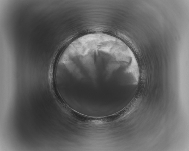 X0000100920394200807221120