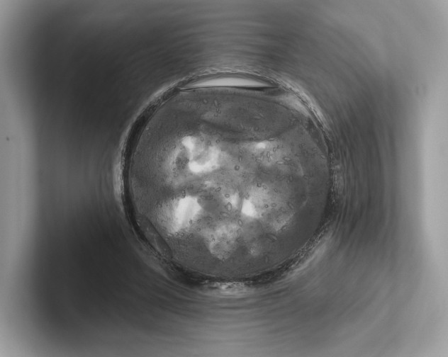 X0000100920395200807221120