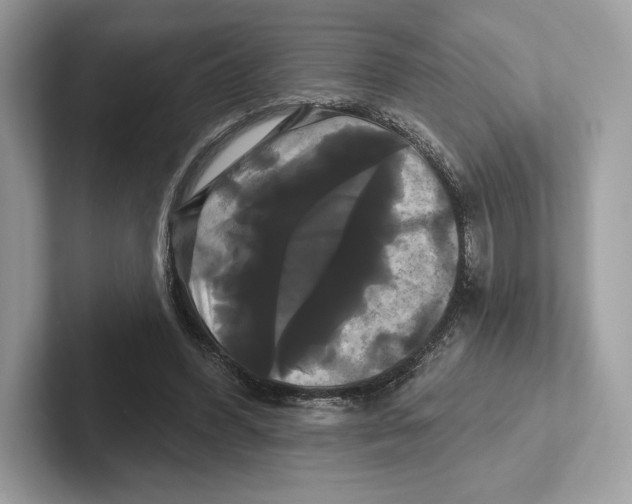 X0000100920396200807221120