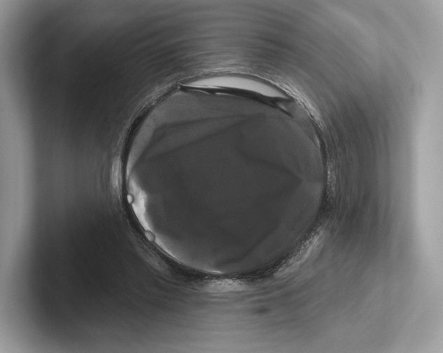 X0000100920397200807221120
