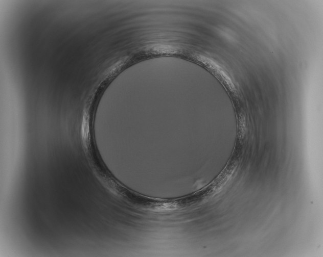 X0000100920398200807221120