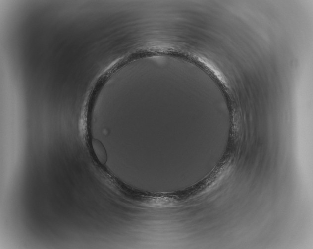 X0000100920399200807221120