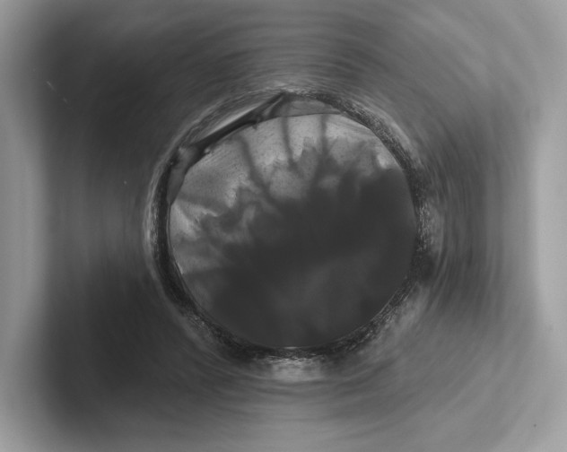X0000100920400200807221120