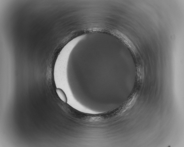 X0000100920401200807221120