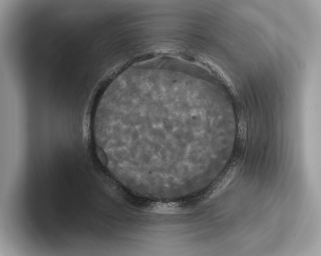X0000100920403200807221120