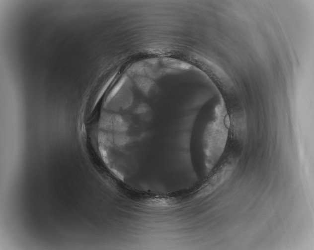 X0000100920404200807221120